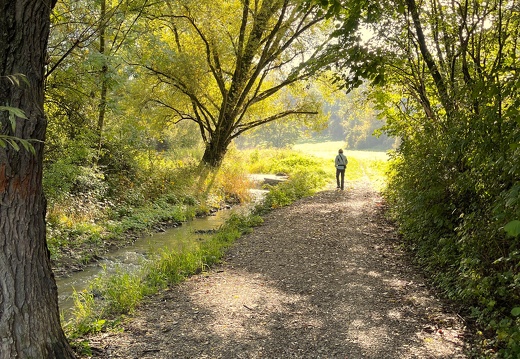 22-10-03 10-58-36 2194